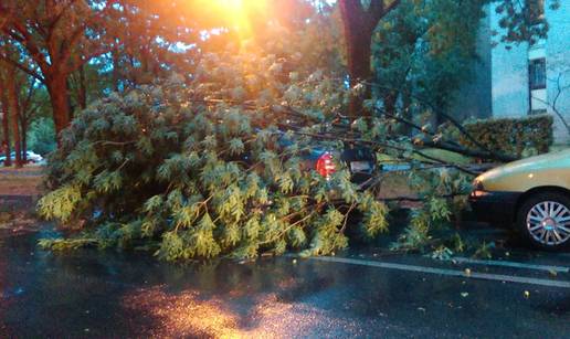 Ljudi bili unutra: Jak  vjetar sru&scaron;io je veliku granu na auto