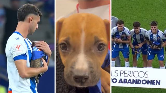 VIDEO Igrači Espanyola izašli s psićima kako bi im pronašli dom