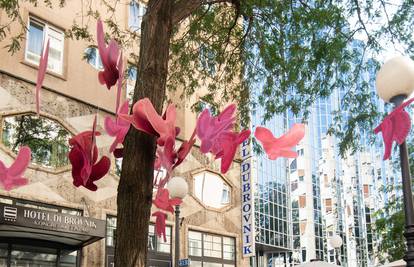 FOTO 'Točno u podne' prošetajte kroz jato ružičastih golubova u samom centru glavnog grada