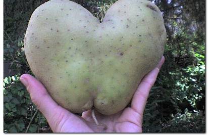 Na poklon dobila velik krumpir u obliku srca