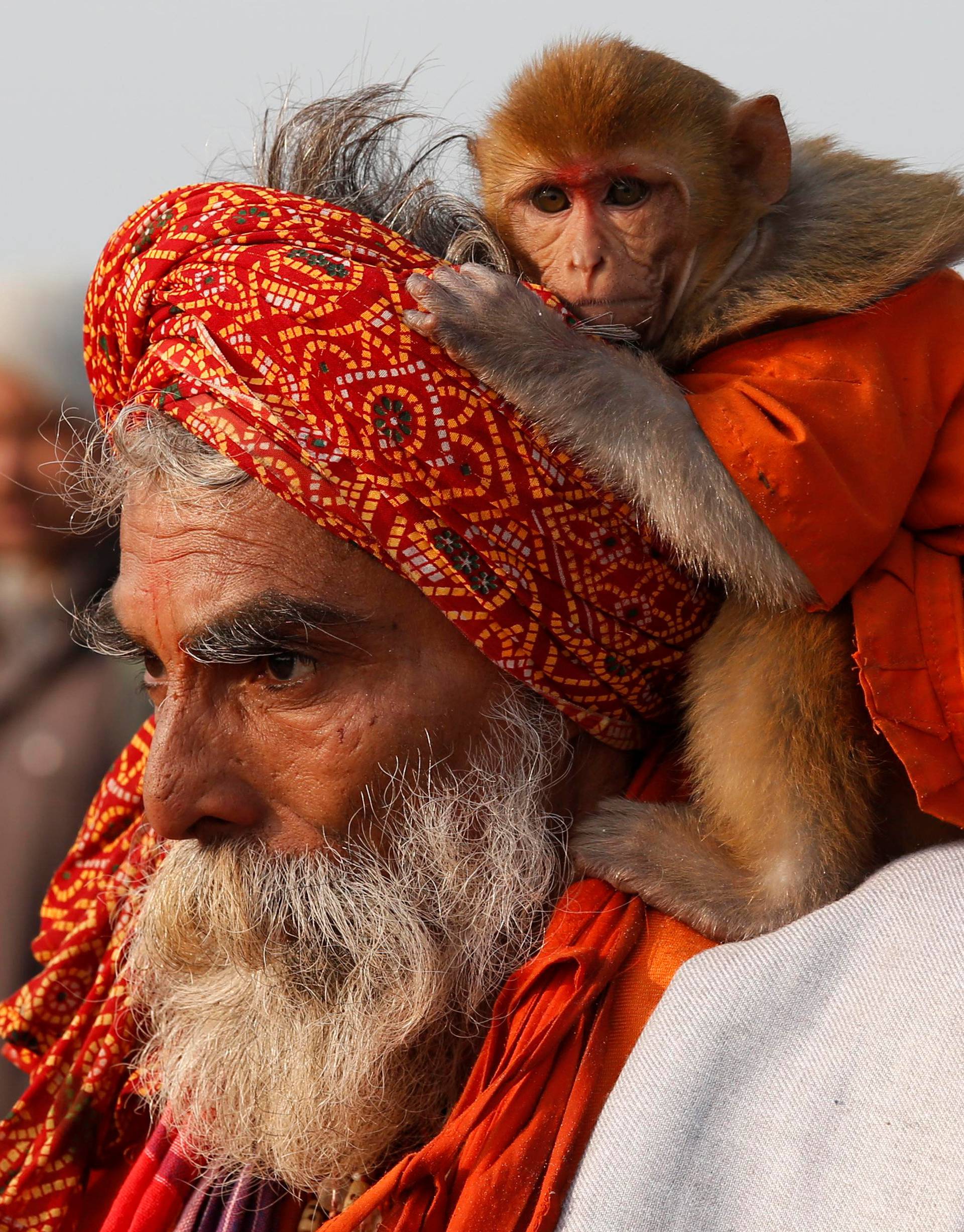 A Sadhu or a Hindu holy man carrying his pet monkey walks after taking a dip at the confluence of the river Ganges and the Bay of Bengal on the occasion of "Makar Sankranti" festival at Sagar Island