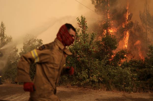 Wildfire on Evia island