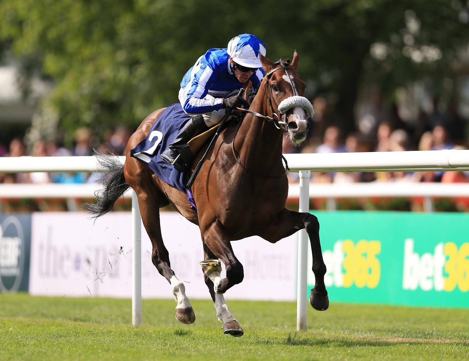 The Moet and Chandon July Festival - Ladies Day - Newmarket Races