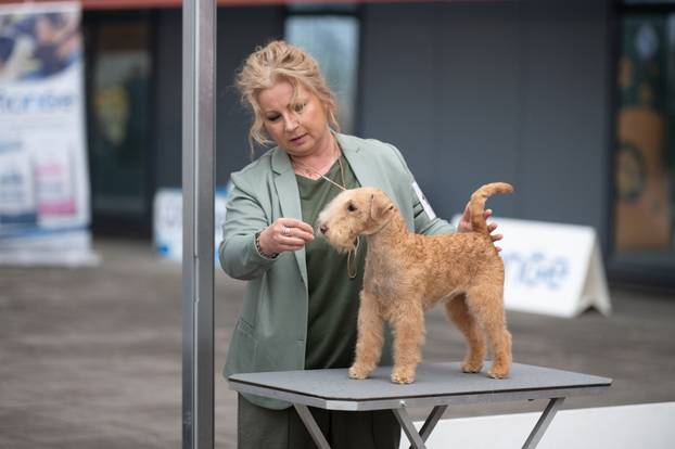 U Zaprešiću održana CAC nacionalna izložba pasa