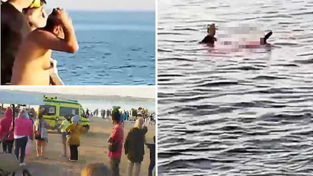 Minutu prije tragedije u Egiptu turisti upozorili spasioce da ima morskih pasa: 'Smijali su se'