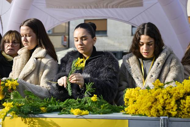 Zagreb: 19. Dan mimoza obilježen na Cvjetnom trgu