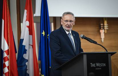 FOTO HNS bira predsjednika, zamjenike, članove odbora, suda časti. Stigao i Božinović