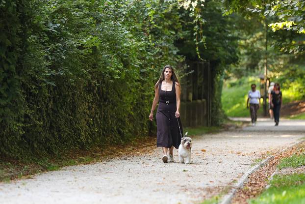 Zagreb: Hrvatska kujica Meghan proglašena najljepšim psom na svijetu