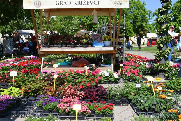 Obilježavanje Dana grada Križevaca uljepšano je cvjetnom manifestacijom "Križevci u cvijeću"