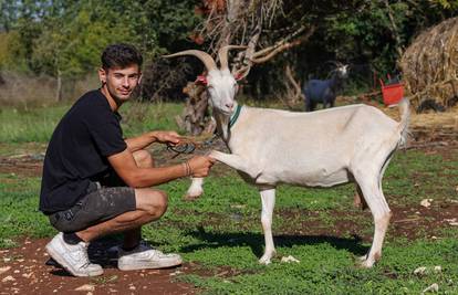 Matteo iz Vodnjana: Moja Jelena je Miss koze Istre 2025.!