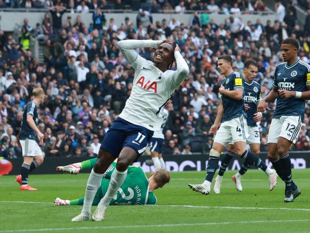 English Premier League - Tottenham vs Newcastle