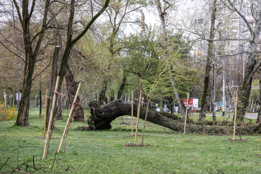 Zagreb: Olujno nevrijeme počupalo stabla na Bundeku 