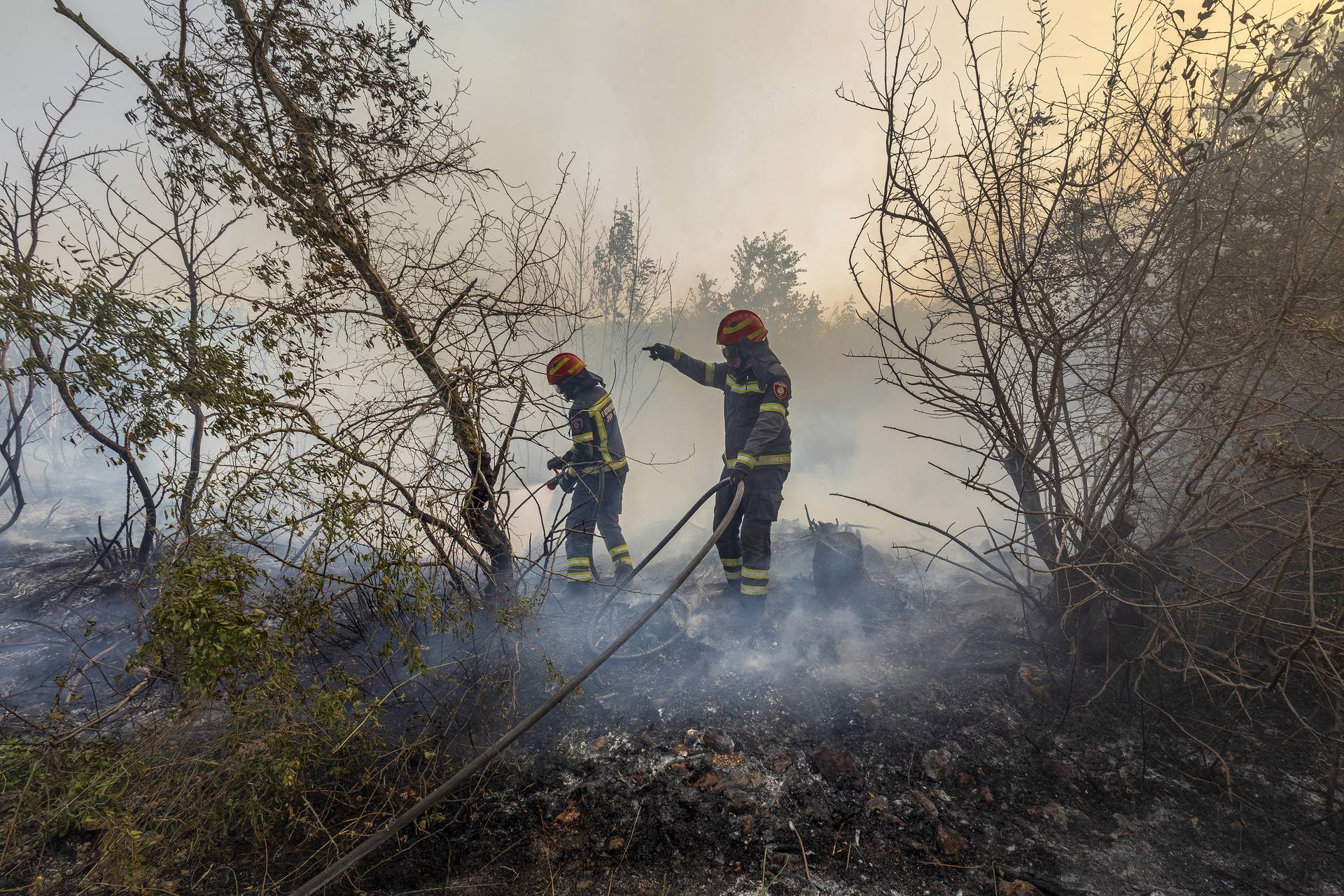 Pula: Na području Otvorenog kaznenog zavoda Valtura buknuo požar