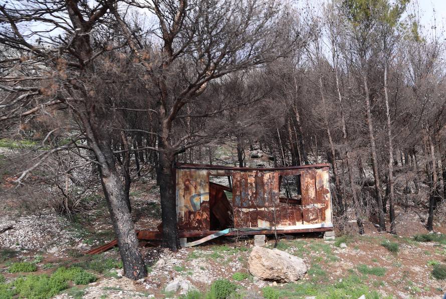 24SATA Omiš: Borna Budić, Ponos Hrvatske