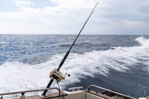 Tunalicious spektakl u Istri i međunarodno natjecanje u lovljenju kraljice Jadrana - tune