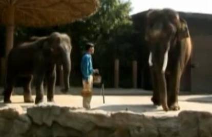 Nevjerojatni slon koji govori je glavna atrakcija u J. Koreji 
