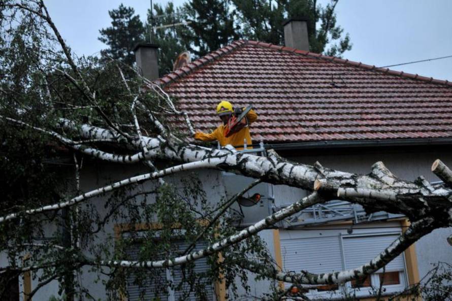 Duško Mirković/Pixsell