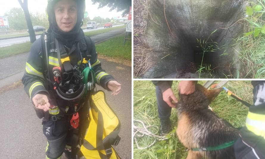 Pas upao u 10 metara dubok šaht, izvukli su ga vatrogasci