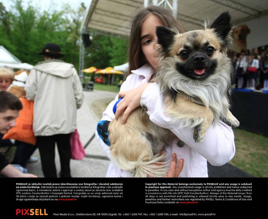 Marko Prpić/PIXSELL