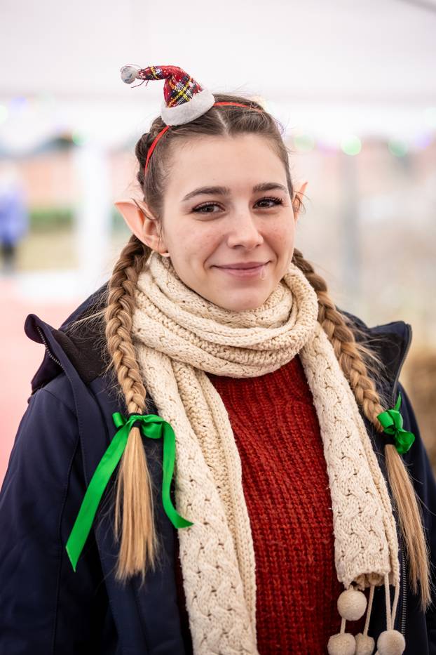 I psići vole advent: Preslatke fotke štenaca koji traže dom