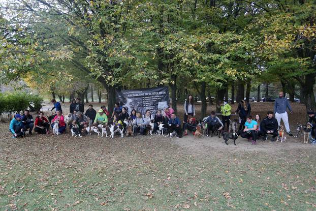 Zagreb: Na DotrÅ¡Äini organizirana utrka s psima Canicross