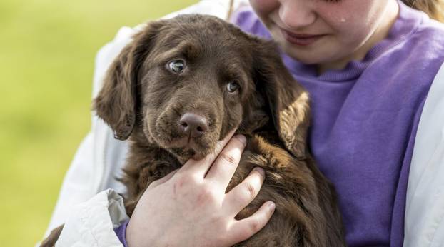TOP 100 fotografija u 2024. godini