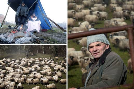 'Kuća mi je ostala čitava, a ovce su se uznemirile prije potresa'