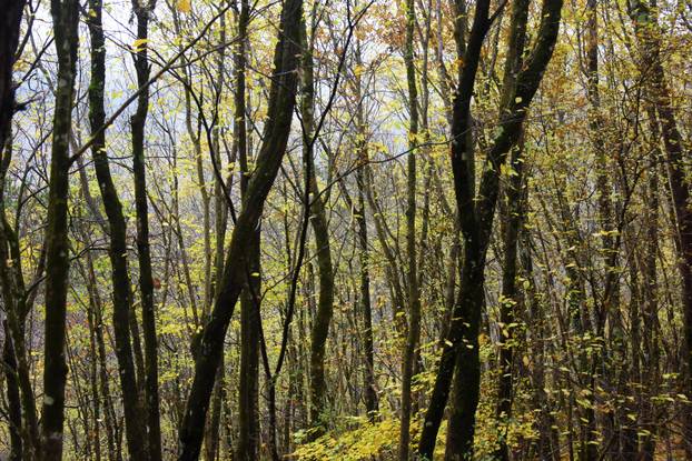 Vodice: Jesenja mističnost Ćićarije