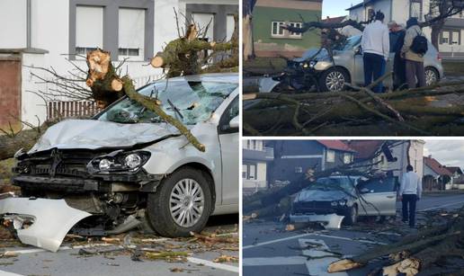 Stablo smrskalo auto u vožnji: Vozačicu spremaju za operaciju