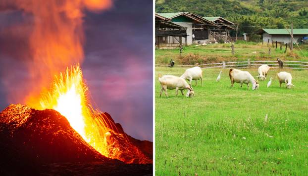 FOTO Tvrdi da je vremenski putnik iz 2501.: 'Svijet uranja u tamu. Ocean krije užasnu tajnu'