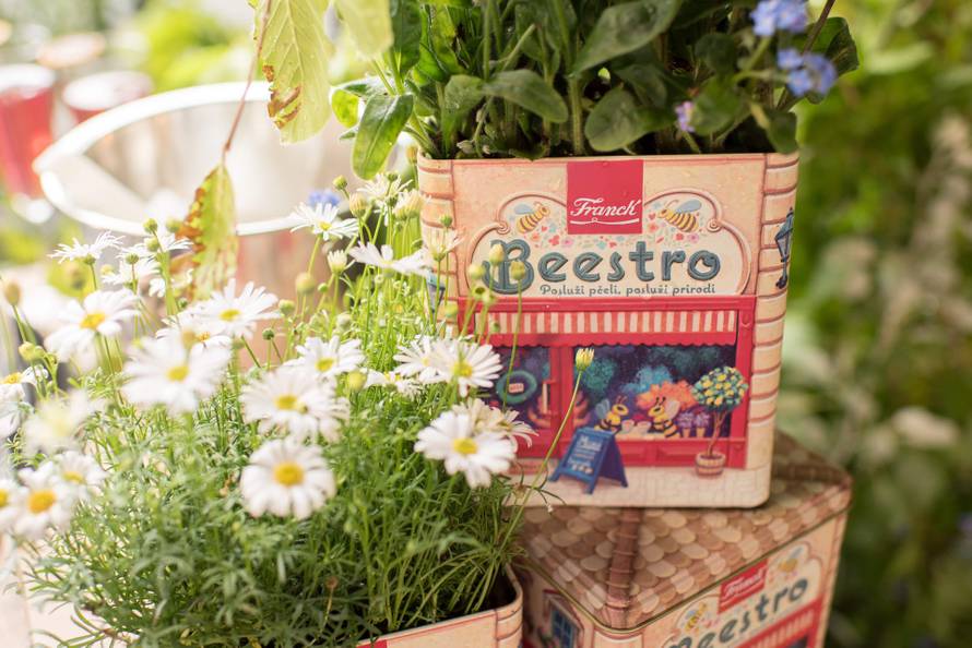 Znate li kada je svjetski dan pčela? Evo kako im zajedno možemo pomoći