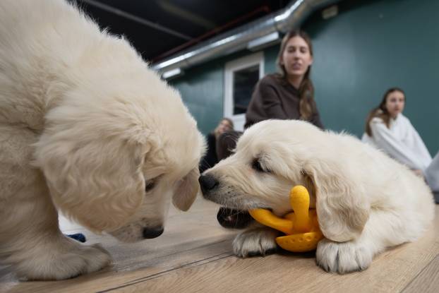24SATA Paw Yoga, inovativni koncept joge koji je stigao u Hrvatsku