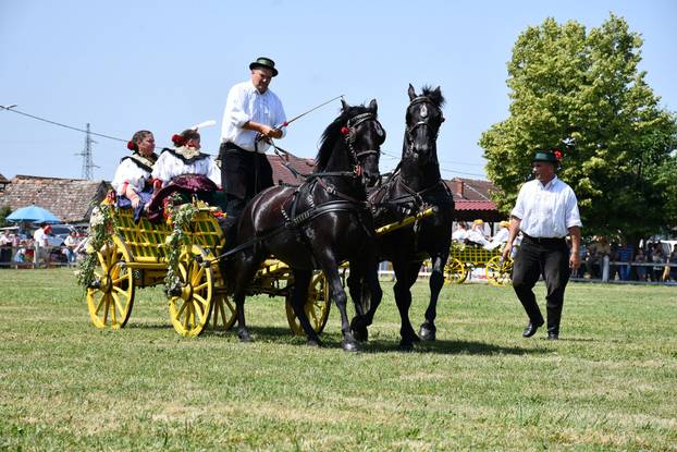 FOTO U znaku tradicije: Na 44. manifestaciji 'Konji bijelci' vozile su se i svadbarske kočije