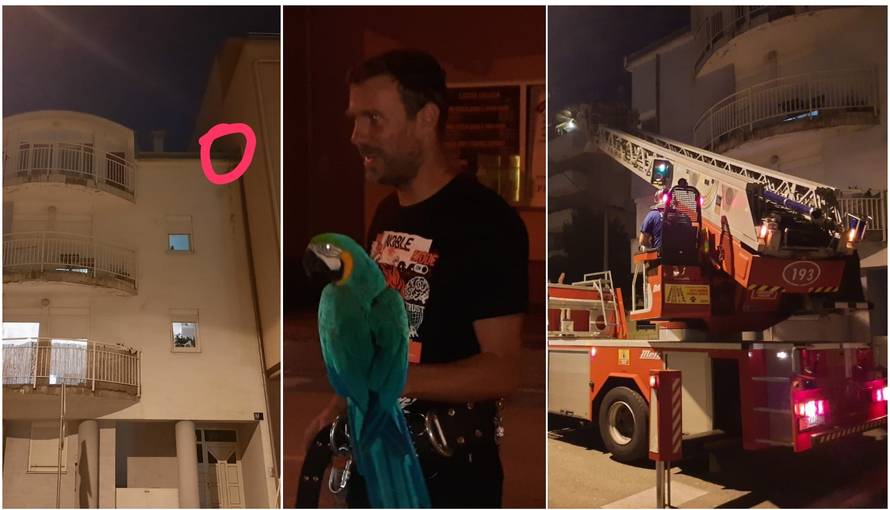 Marko, sunce ti žarko! Aru su na vrhu zgrade lovili i vatrogasci...