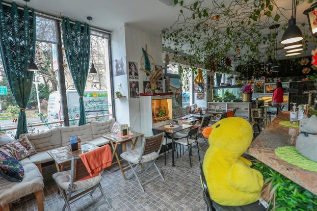 Zagreb: Emilija i Amer Alaydi otvorili su kafić Animal caffe
