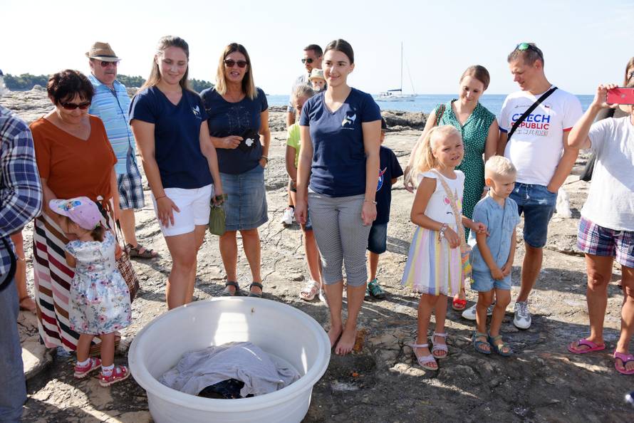 Kornjača Zdravka vraćena je u more nakon što se oporavila u pulskom Aquariumu