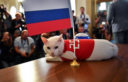 Mačak Ahilej je siguran: Rusija pobjeđuje Saudijce na startu...