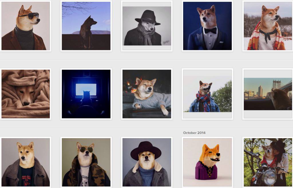 mensweardog/Instagram