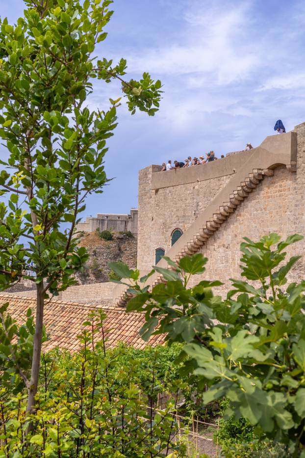 Dubrovnik: Vrtovi franjevačkog samostana