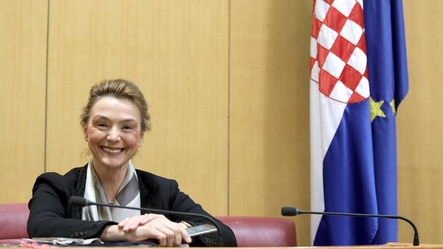 'Savršena je prilika da Orban i premijer razgovaraju o svemu'