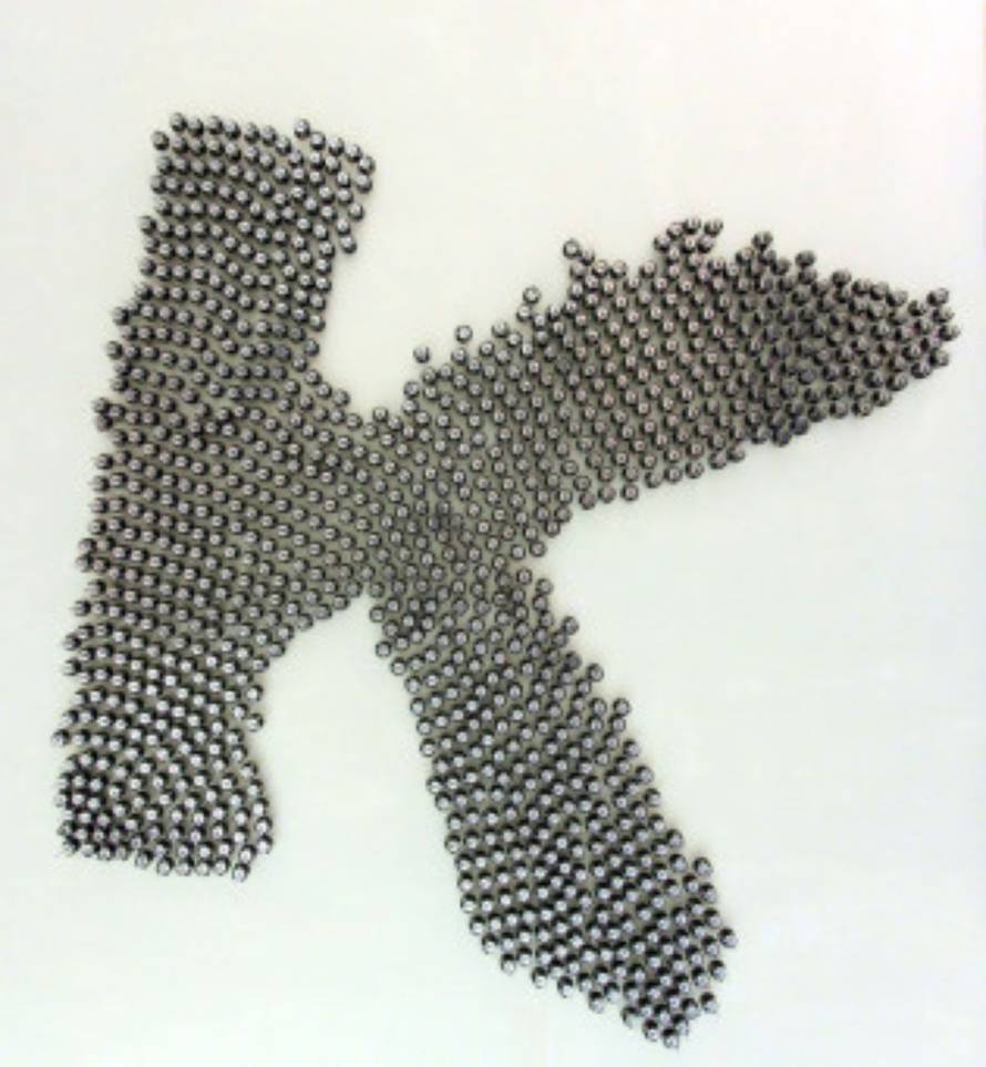 Michael Rubenstein/Harvard Univeristy