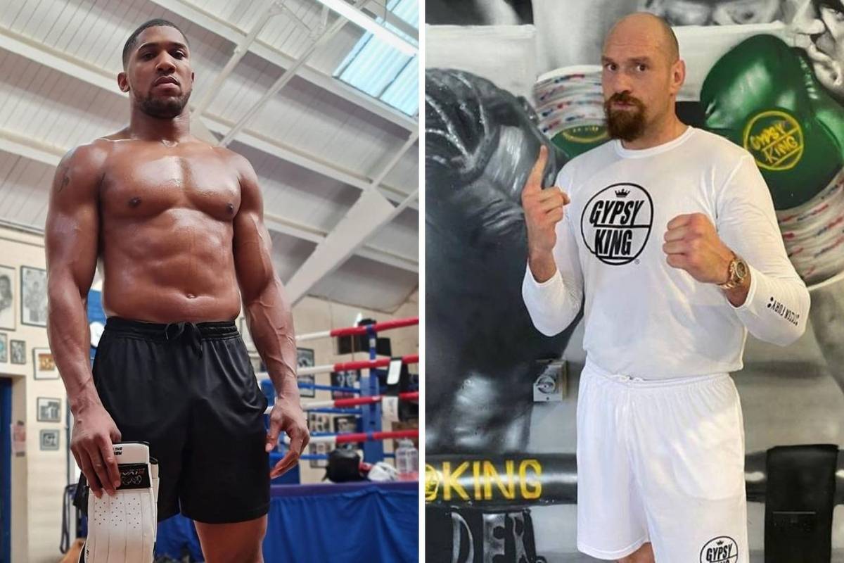 Fury provocira: Joshua, ti si klošar. Ako te ne nokautiram u prve tri runde, predat ću meč