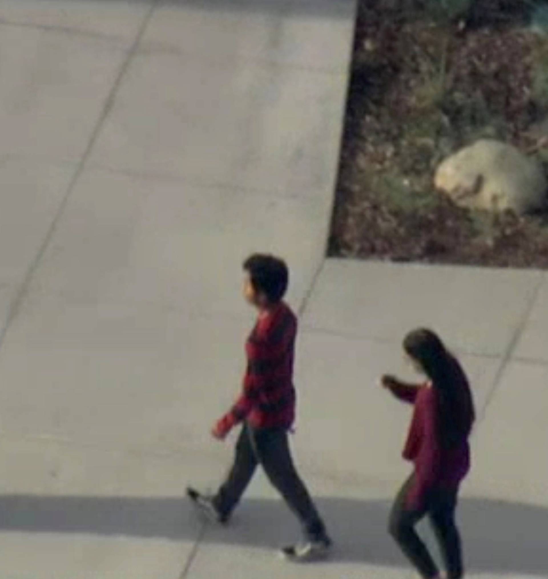 A law enforcement official leads students at the scene of a shooting at Saugus high school in Santa Clarita