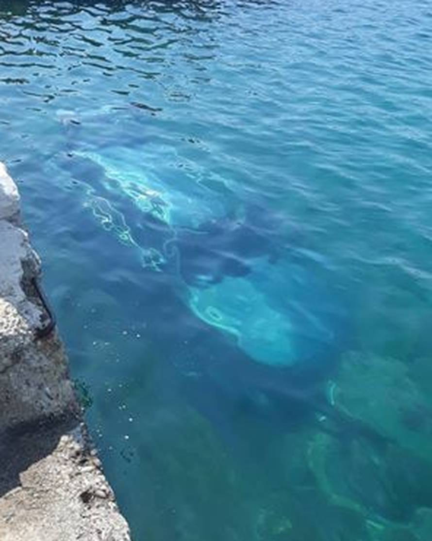 Drama kod Makarske: Skakali u more da izvuku vozača auta...