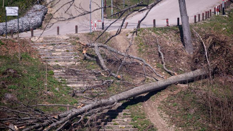 FOTO Evo kako izgleda Sljeme dva tjedna nakon nevremena