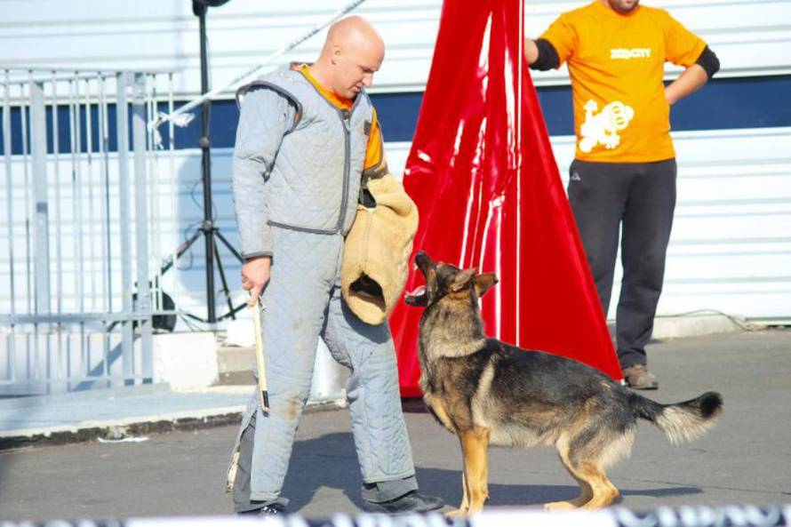 Tomislav Miletic/PIXSELL