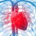 Najnovija generacija umjetnih srca obećava spas pacijentima