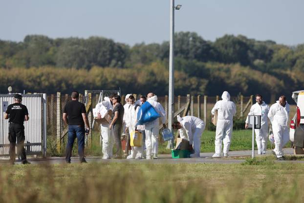 Sokolovac: Kreće eutanazija svinja, uvode se novi sigurnosni protokoli