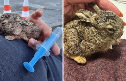 FOTO Spasili zečića s Hipodroma