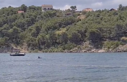 Dupine u igri snimili kod Zadra: 'Turisti su čak i plivali s njima'